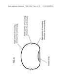 DEVICE AND METHOD FOR APPETITE SUPPRESSION AND WEIGHT LOSS MANAGEMENT diagram and image