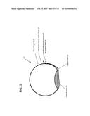 DEVICE AND METHOD FOR APPETITE SUPPRESSION AND WEIGHT LOSS MANAGEMENT diagram and image