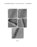 SEEDLESS GROUP IV NANOWIRES, AND METHODS FOR THE PRODUCTION THEREOF diagram and image