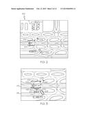 SYSTEM AND METHOD FOR HIGHLIGHTING AN AREA ENCOMPASSING AN AIRCRAFT THAT     IS FREE OF HAZARDS diagram and image