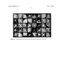 HIGH-EFFICACY CAPTURING AND MODELING OF HUMAN PERCEPTUAL SIMILARITY     OPINIONS diagram and image