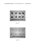 Corpse Decay Prevention Method and Corpse Processing Vehicle diagram and image