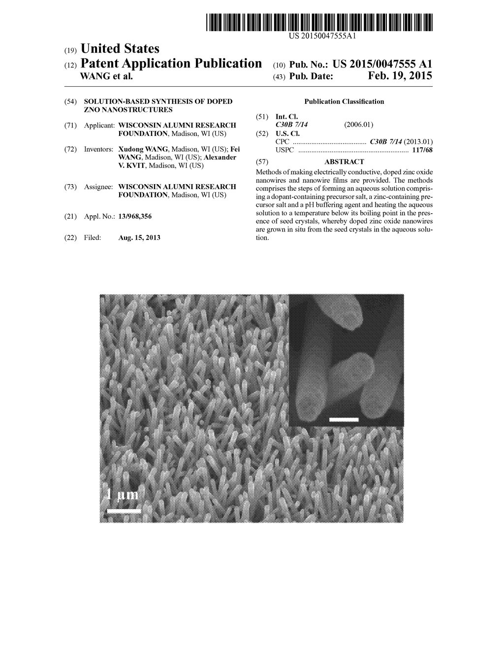 SOLUTION-BASED SYNTHESIS OF DOPED ZNO NANOSTRUCTURES - diagram, schematic, and image 01