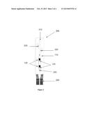 BIOSENSOR HAVING NANOSTRUCTURED ELECTRODES diagram and image