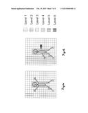 COORDINATE MEASURING MACHINE HAVING A CAMERA diagram and image