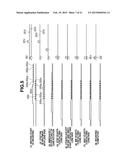 CAMERA AND CAMERA ACCESSORY diagram and image