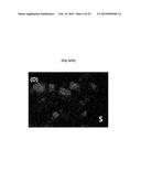 METHOD OF PREPARING CALCIUM CARBONATE USING DIRECT CARBONATION REACTION diagram and image