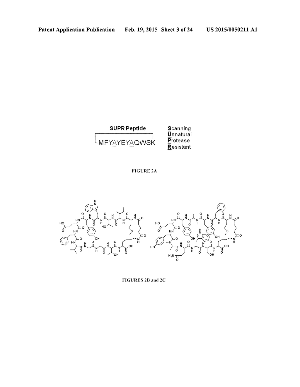 METHODS FOR PREPARING HIGH THROUGHPUT PEPTIDOMIMETICS, ORALLY BIOAVAILABLE     DRUGS AND COMPOSITIONS CONTAINING SAME - diagram, schematic, and image 04
