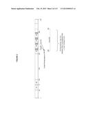 PROTEIN-BASED THERAPY AND DIAGNOSIS OF TAU-MEDIATED PATHOLOGY IN     ALZHEIMER S DISEASE diagram and image