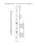 PROTEIN-BASED THERAPY AND DIAGNOSIS OF TAU-MEDIATED PATHOLOGY IN     ALZHEIMER S DISEASE diagram and image