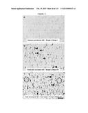 PROTEIN-BASED THERAPY AND DIAGNOSIS OF TAU-MEDIATED PATHOLOGY IN     ALZHEIMER S DISEASE diagram and image