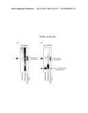 PROTEIN-BASED THERAPY AND DIAGNOSIS OF TAU-MEDIATED PATHOLOGY IN     ALZHEIMER S DISEASE diagram and image