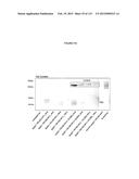 PROTEIN-BASED THERAPY AND DIAGNOSIS OF TAU-MEDIATED PATHOLOGY IN     ALZHEIMER S DISEASE diagram and image