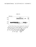 PROTEIN-BASED THERAPY AND DIAGNOSIS OF TAU-MEDIATED PATHOLOGY IN     ALZHEIMER S DISEASE diagram and image