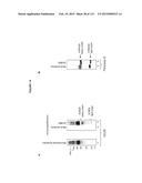 PROTEIN-BASED THERAPY AND DIAGNOSIS OF TAU-MEDIATED PATHOLOGY IN     ALZHEIMER S DISEASE diagram and image