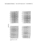 PROTEIN-BASED THERAPY AND DIAGNOSIS OF TAU-MEDIATED PATHOLOGY IN     ALZHEIMER S DISEASE diagram and image