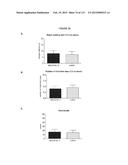 PROTEIN-BASED THERAPY AND DIAGNOSIS OF TAU-MEDIATED PATHOLOGY IN     ALZHEIMER S DISEASE diagram and image