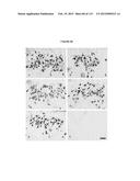 PROTEIN-BASED THERAPY AND DIAGNOSIS OF TAU-MEDIATED PATHOLOGY IN     ALZHEIMER S DISEASE diagram and image