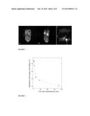 ULTRAFINE NANOPARTICLES AS MULTIMODAL CONTRAST AGENT diagram and image