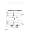 ULTRAFINE NANOPARTICLES AS MULTIMODAL CONTRAST AGENT diagram and image