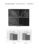 Natural Tissue-Derived Decellularized Matrix and Methods of Generating and     Using Same diagram and image