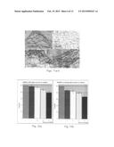 Natural Tissue-Derived Decellularized Matrix and Methods of Generating and     Using Same diagram and image