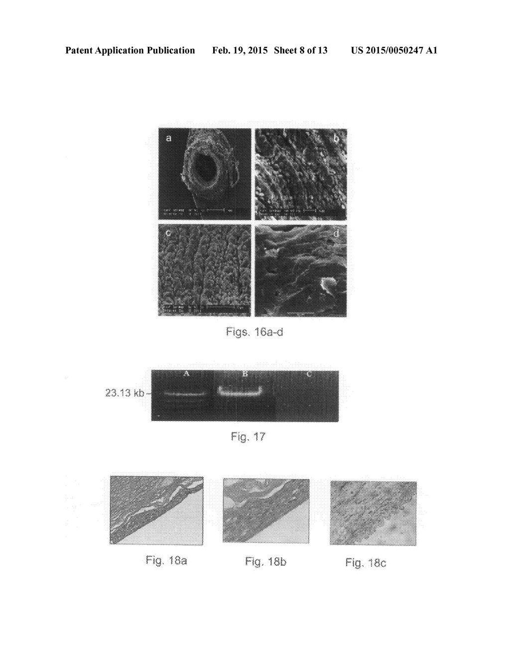 Natural Tissue-Derived Decellularized Matrix and Methods of Generating and     Using Same - diagram, schematic, and image 09