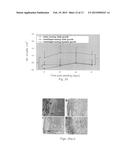 Natural Tissue-Derived Decellularized Matrix and Methods of Generating and     Using Same diagram and image