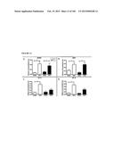 MULTIFUNCTIONAL IMMATURE DENTAL PULP STEM CELLS AND THERAPEUTIC     APPLICATIONS diagram and image