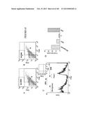 MULTIFUNCTIONAL IMMATURE DENTAL PULP STEM CELLS AND THERAPEUTIC     APPLICATIONS diagram and image