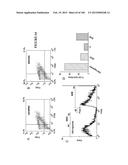 MULTIFUNCTIONAL IMMATURE DENTAL PULP STEM CELLS AND THERAPEUTIC     APPLICATIONS diagram and image