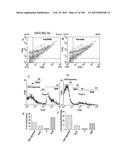 MULTIFUNCTIONAL IMMATURE DENTAL PULP STEM CELLS AND THERAPEUTIC     APPLICATIONS diagram and image