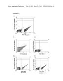 MULTIFUNCTIONAL IMMATURE DENTAL PULP STEM CELLS AND THERAPEUTIC     APPLICATIONS diagram and image