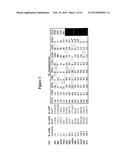 ANTAGONIST ANTIBODIES DIRECTED AGAINST CALCITONIN GENE-RELATED PEPTIDE AND     METHODS USING SAME diagram and image