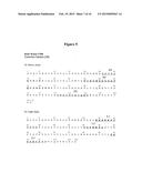 ANTAGONIST ANTIBODIES DIRECTED AGAINST CALCITONIN GENE-RELATED PEPTIDE AND     METHODS USING SAME diagram and image