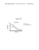 ANTAGONIST ANTIBODIES DIRECTED AGAINST CALCITONIN GENE-RELATED PEPTIDE AND     METHODS USING SAME diagram and image