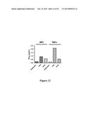 High Affinity Antibodies That Neutralize Staphylococcus Enterotoxin B diagram and image