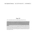 High Affinity Antibodies That Neutralize Staphylococcus Enterotoxin B diagram and image