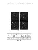 ANTIBODY BINDING MICROBIAL HEPARIN BINDING MOTIF TO RETARD OR PREVENT     MICROBIAL BIOFILM FORMATION ON IMPLANTED MEDICAL DEVICES diagram and image