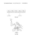 ANTIBODY BINDING MICROBIAL HEPARIN BINDING MOTIF TO RETARD OR PREVENT     MICROBIAL BIOFILM FORMATION ON IMPLANTED MEDICAL DEVICES diagram and image