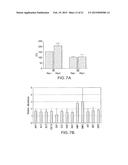 ANTIBODY BINDING MICROBIAL HEPARIN BINDING MOTIF TO RETARD OR PREVENT     MICROBIAL BIOFILM FORMATION ON IMPLANTED MEDICAL DEVICES diagram and image