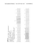 ANTI-NGF ANTIBODIES AND METHODS USING SAME diagram and image