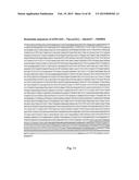 ARTIFICIAL NUCLEIC ACID MOLECULES COMPRISING A 5 TOP UTR diagram and image