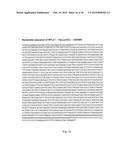 ARTIFICIAL NUCLEIC ACID MOLECULES COMPRISING A 5 TOP UTR diagram and image