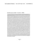 ARTIFICIAL NUCLEIC ACID MOLECULES COMPRISING A 5 TOP UTR diagram and image