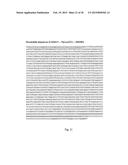 ARTIFICIAL NUCLEIC ACID MOLECULES COMPRISING A 5 TOP UTR diagram and image