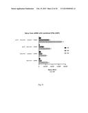 ARTIFICIAL NUCLEIC ACID MOLECULES COMPRISING A 5 TOP UTR diagram and image