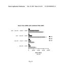 ARTIFICIAL NUCLEIC ACID MOLECULES COMPRISING A 5 TOP UTR diagram and image