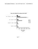 ARTIFICIAL NUCLEIC ACID MOLECULES COMPRISING A 5 TOP UTR diagram and image