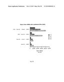 ARTIFICIAL NUCLEIC ACID MOLECULES COMPRISING A 5 TOP UTR diagram and image